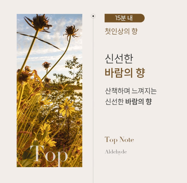 [2 Items] Month & Days Perfume Body Wash 300ml & Lotion 300ml (De Breeze) from Korea