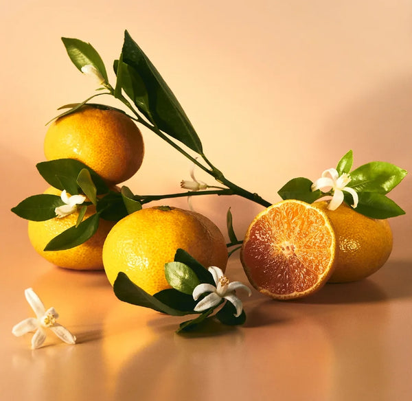 Osulloc Diffuser Tea Garden, from Korea by OSULLOC