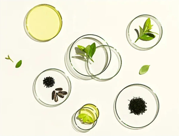 3 X OSULLOC Jeju Green Tea Cleansing Bar, from Korea by OSULLOC