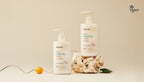 OSULLOC Jeju Green Tea Hand Wash 295ml + Jeju Green Tea Hand Lotion 295ml from Korea