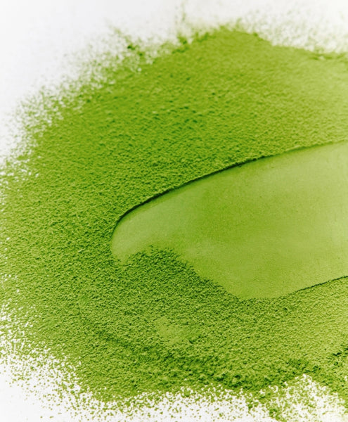 [Limited Edition] OSULLOC Master`s Match 40g - Premium Jeju Matcha Powder from Korea