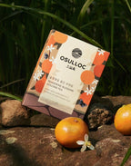 OSULLOC Tangerine Blossom Oolong Tea, 1 Box 10ea, from Korea by OSULLOC
