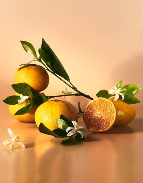 OSULLOC Tangerine Blossom Oolong Tea, 1 Pouch 20 tea bags, from Korea by OSULLOC