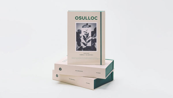 OSULLOC Tea Variation O Gift Set, 36ea ( 6 Flavors X 6 Ea), from Korea by OSULLOC