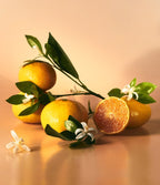 OSULLOC Tangerine Blossom Tea, 1 Box 20ea, from Korea by OSULLOC