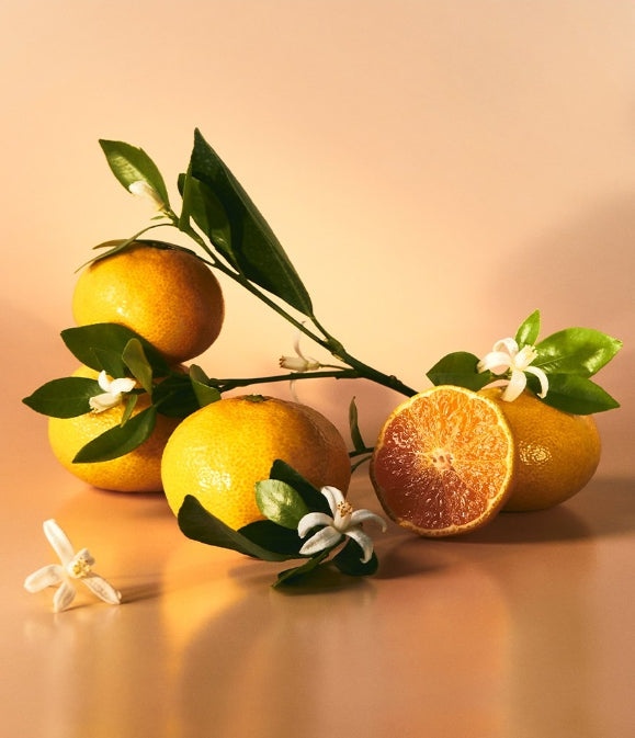 OSULLOC Tangerine Blossom Tea, 1 Box 20ea, from Korea by OSULLOC