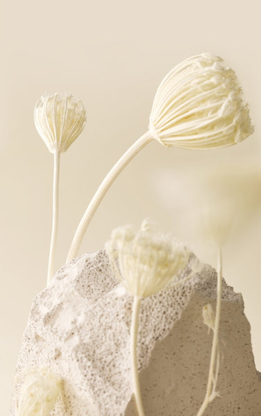 2 x HAPPY BATH Original Collection Body Lotion ( No. 420 Baby Powder ) 500g from Korea by HAPPY BATH