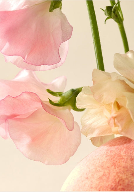HAPPY BATH Original Collection Body Wash ( No. 254 Cherry Blossom ) 910g from Korea by HAPPY BATH