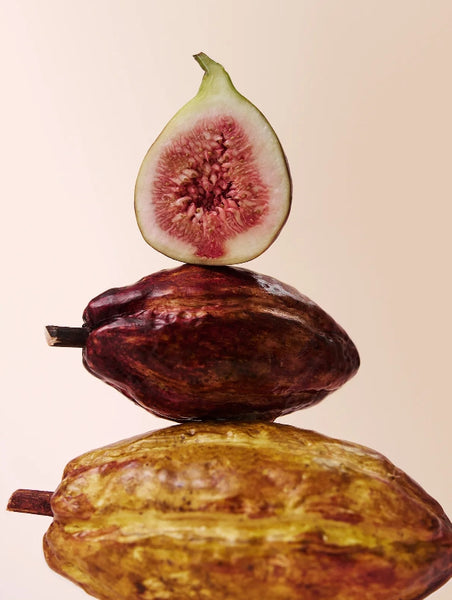 OSULLOC Fig Chocolate Black Tea, 1 Box 20 Tea Bags, from Korea by OSULLOC