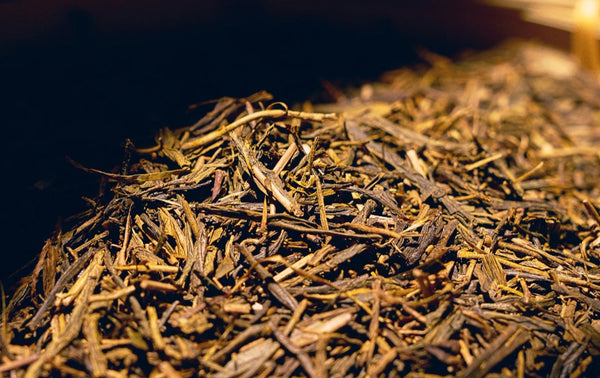 Osulloc Jeju Hojicha, 20 Tea Bags, Korean Roasted Green Tea from Korea