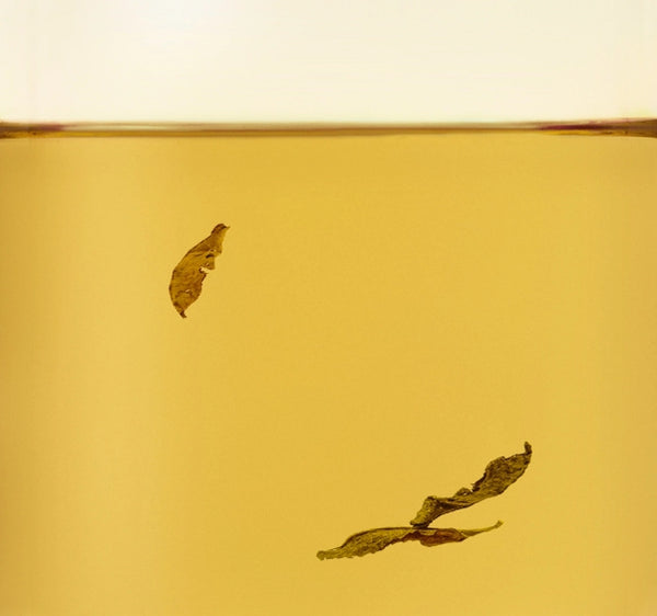 Osulloc Jeju Hojicha, 20 Tea Bags, Korean Roasted Green Tea from Korea