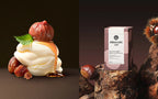 OSULLOC Marron Glace Black Tea, 1 Box 20 Tea Bags, from Korea by OSULLOC