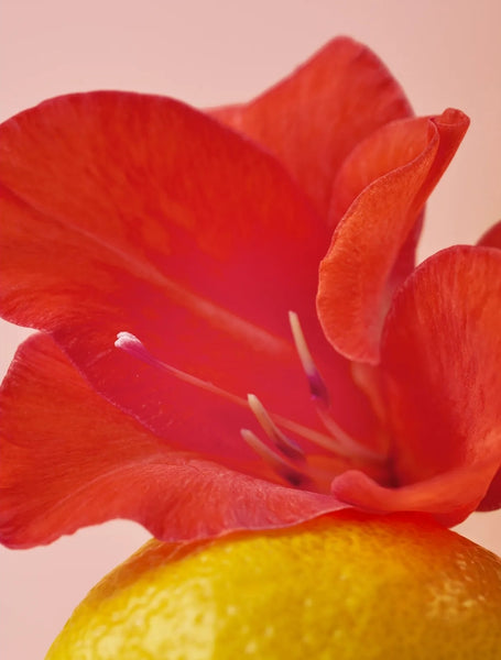 OSULLOC Sweet Hibiscus, 1 Box 20 Tea Bags, from Korea by OSULLOC