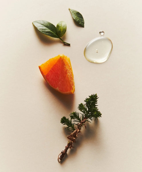 Osulloc Diffusor Teegarten, aus Korea