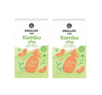 2 x OSULLOC Kombucha Applepine, 1 Box 10 Sticks, from Korea