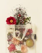 OSULLOC Camellia Forest Tea, 1 Box 10 Tea Bags, from Korea by OSULLOC