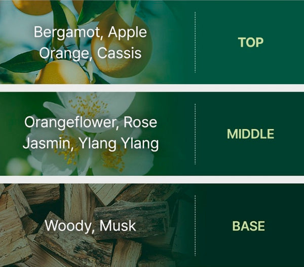 3 x Ryo Fermented Green Tea Nutrition & Moisture Conditioner for scalp 400ml from Korea