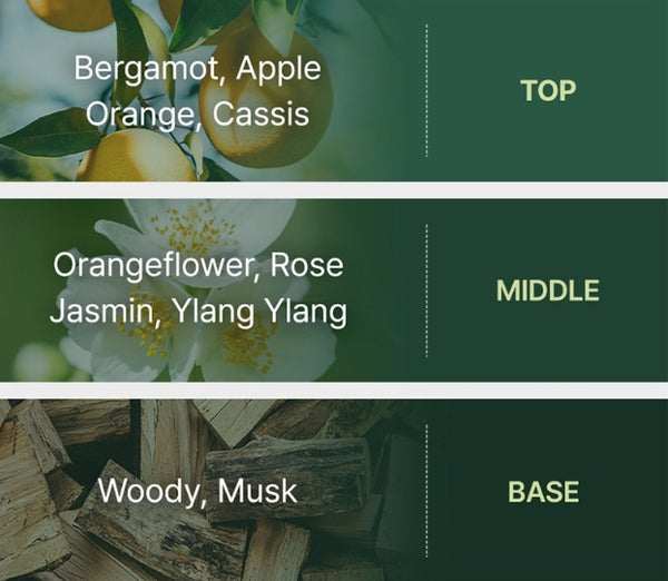 Ryo Fermented Green Tea Nutrition & Moisture Shampoo for scalp 400ml from Korea