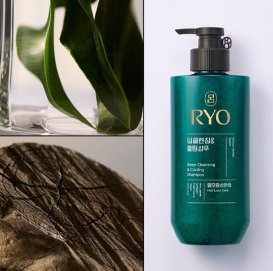 3 x Ryo New Cheonga Deep Cleansing & Cooling Shampoo 480ml from Korea by Ryo