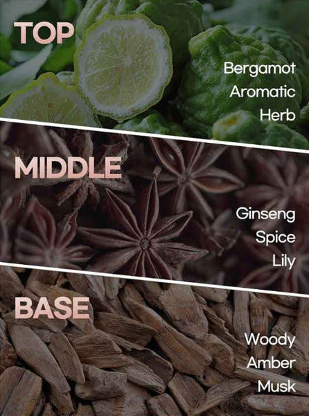 Ryo Jayangyunmo 9EX Hair Loss Expert Care Shampoo for Sensitive Scalp 400ml from Korea by Ryo