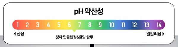 Ryo New Cheonga Deep Cleansing & Cooling Shampoo 480ml from Korea by Ryo