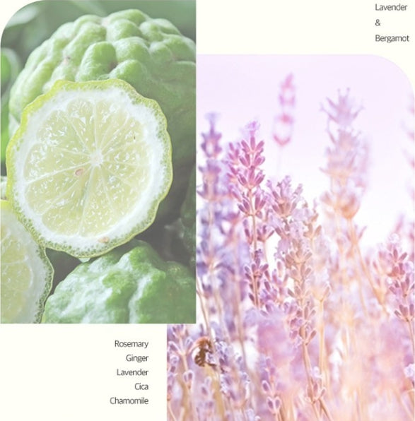 2 x Ryo ROOT:GEN for Women Root Volumizing Hair Loss Care Treatment 353ml from Korea by Ryo