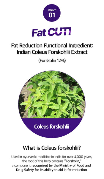 [Upgrade] SERY BOX Oasis Line-Cut V2 Diet, 28 Count (4 weeks supply) from Korea_KT