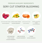 SERY BOX Serycut Starter Duo from Korea_KT by SERY BOX