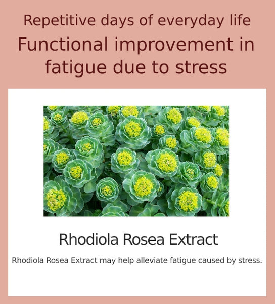 SERY BOX Serycut Starter Shining, 84 Tablets from Korea_KT by SERY BOX