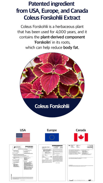 SERY BOX Seryburn Night 28 Count (אספקה ​​של 4 שבועות) מ-Korea_KT