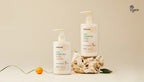 OSULLOC Jeju Green Tea Hand Lotion 295ml from Korea