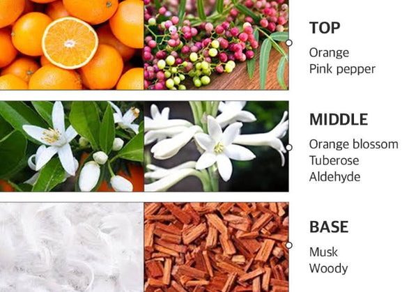 2 x THE FACE SHOP Essential Style Up Curling Serum 150ml - Curl‑Activating Hair Serum from Korea