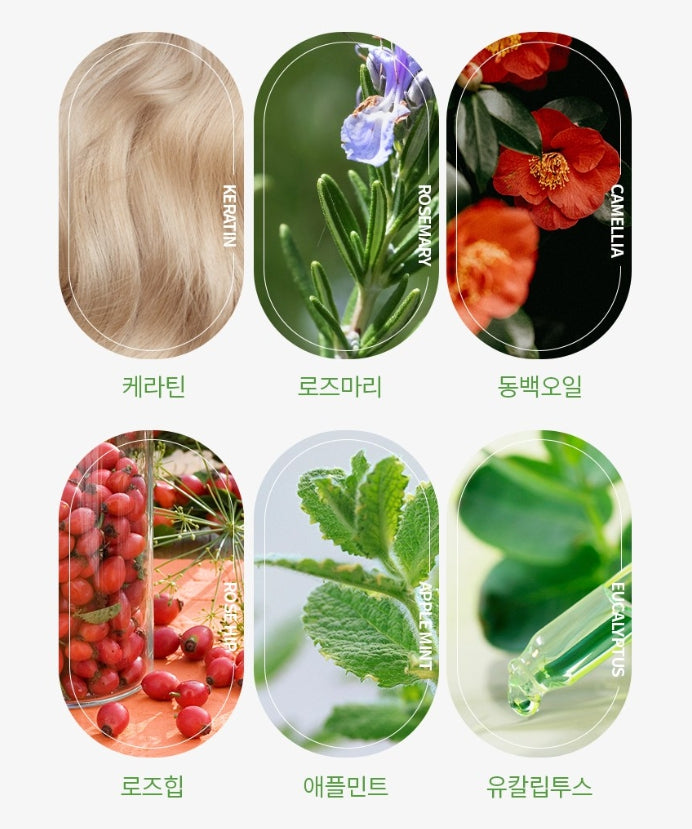3 x THE FACE SHOP Quick Hair Waterproof Mascara 8g 01 Natural Black from Korea