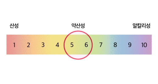 THE FACE SHOP UGLY LOVELY Yuja-Maske 100 ml aus Korea