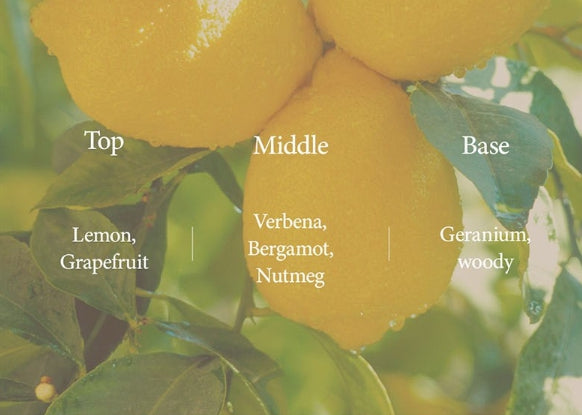 2 x THE FACE SHOP Vigan The Botanic Lemon Verbena Body Wash 350ml – Refreshing Citrus Vegan Wash from Korea