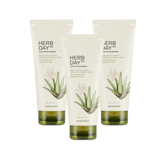 3 x THE FACE SHOP Herb Day 365 Master Blending Foaming Cleanser – Aloe & Green Tea 170ml from Korea