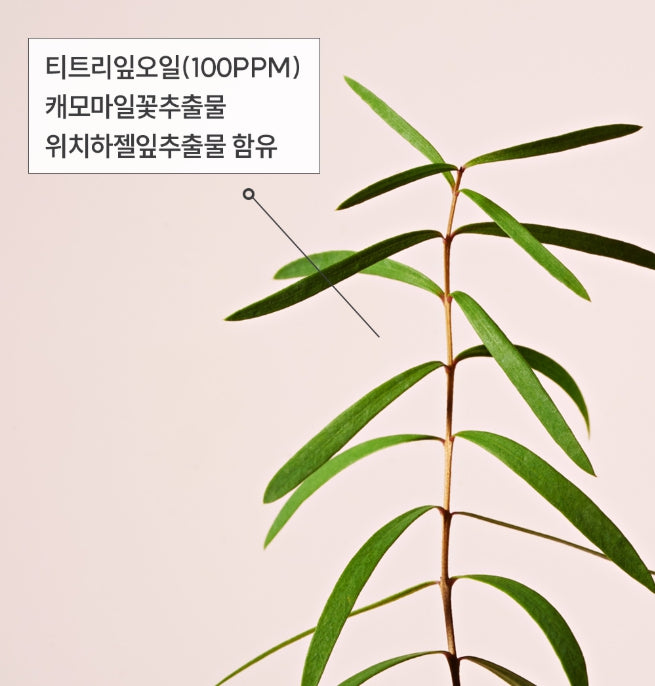 2 x HAPPY BATH Tea Tree Acne Cleansing Foam 150g from Korea by HAPPY BATH