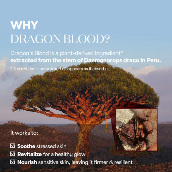 THE FACE SHOP UGLY LOVELY מסכת יוג'ה 100 מ"ל מקוריאה