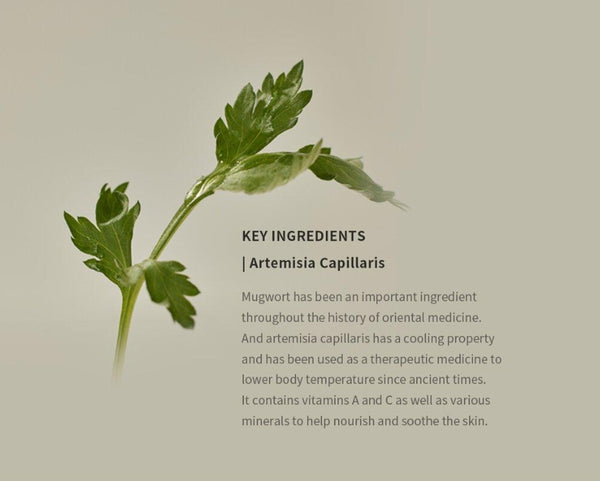 2 X Beauty of Joseon Matte Sun Stick : Mugwort + Camelia 18g, SFP50+ PA++++ from Korea by Beauty of Joseon