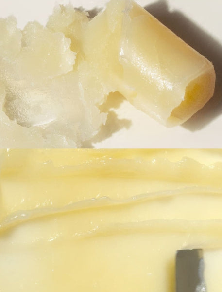 d'Alba White Truffle Nourishing Serum Lip Balm 3.6g from Korea by d'Alba