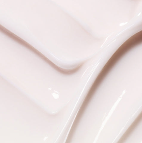 innisfree Cauliflower Mushroom Vital Cream 60ml from Korea by innisfree