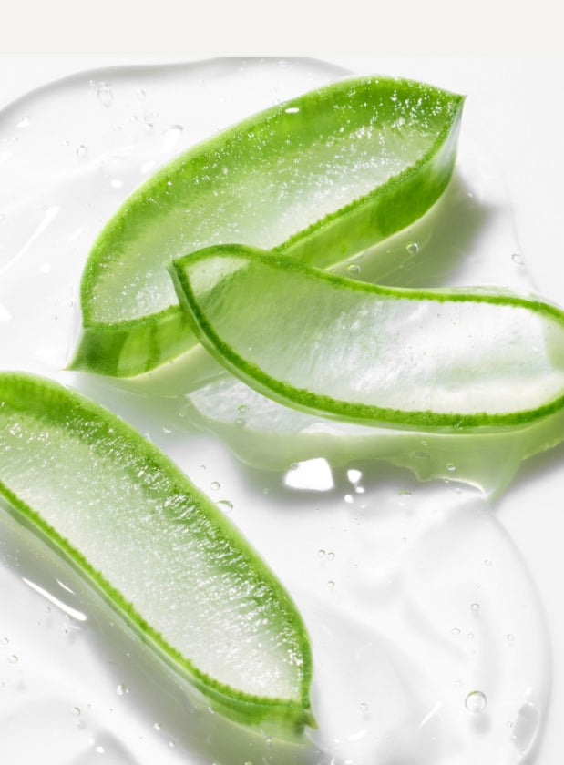 3 x innisfree Aloe Revital Soothing Gel 300ml from Korea