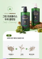 (New Package) Kerasys Propolis Scalp Cleansing Shampoo & Treatment 1000ml from Korea