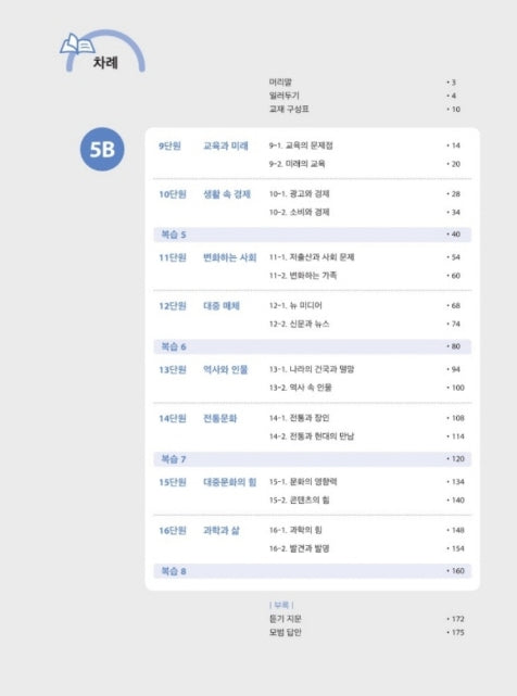 Seoul National University Korean Plus 5B Workbook from Korea