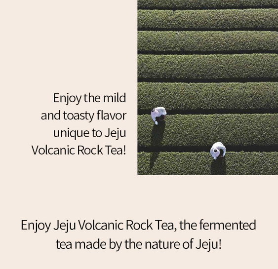 Osulloc Volcanic Rock Tea, 1 Pouch 20 Tea bags, from Korea by OSULLOC