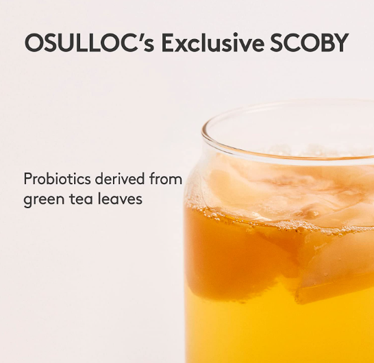 Osulloc Kombucha Tea Lychee Peach, 1 Box 10ea, from Korea by OSULLOC