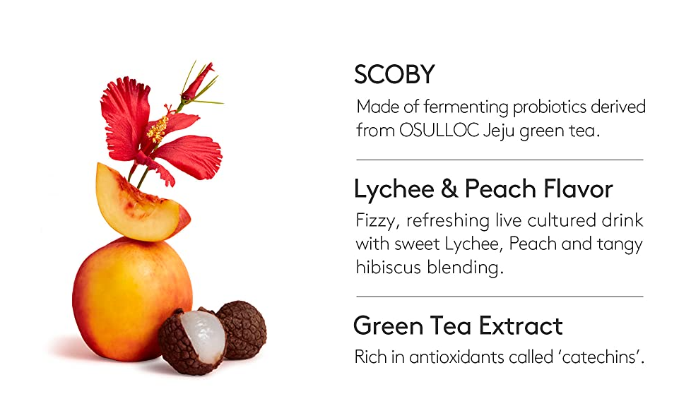 Osulloc Kombucha Tea Lychee Peach, 1 Box 10ea, from Korea by OSULLOC
