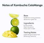 Osulloc Kombucha Calamango, 1 Box X 10 Sachet, from Korea by OSULLOC