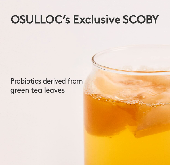 Osulloc Kombucha Calamango, 1 Box X 10 Sachet, from Korea by OSULLOC