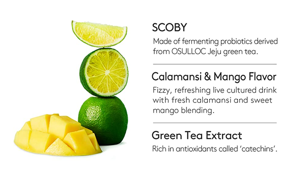 Osulloc Kombucha Calamango, 1 Box X 10 Sachet, from Korea by OSULLOC